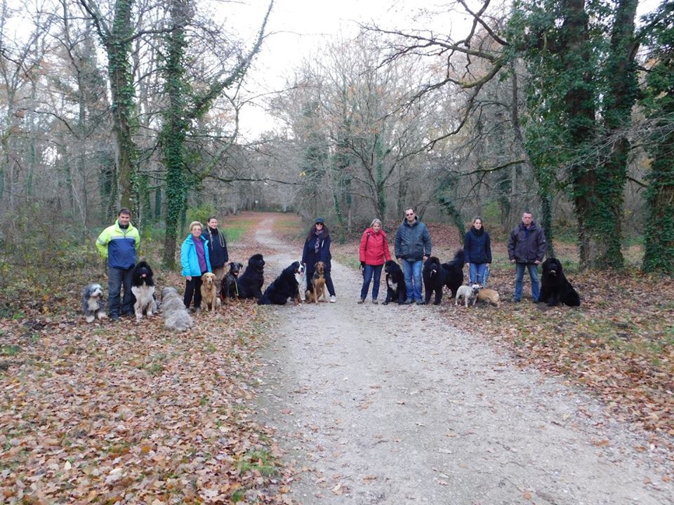 23844619 293104197875605 6444217231666126156 n